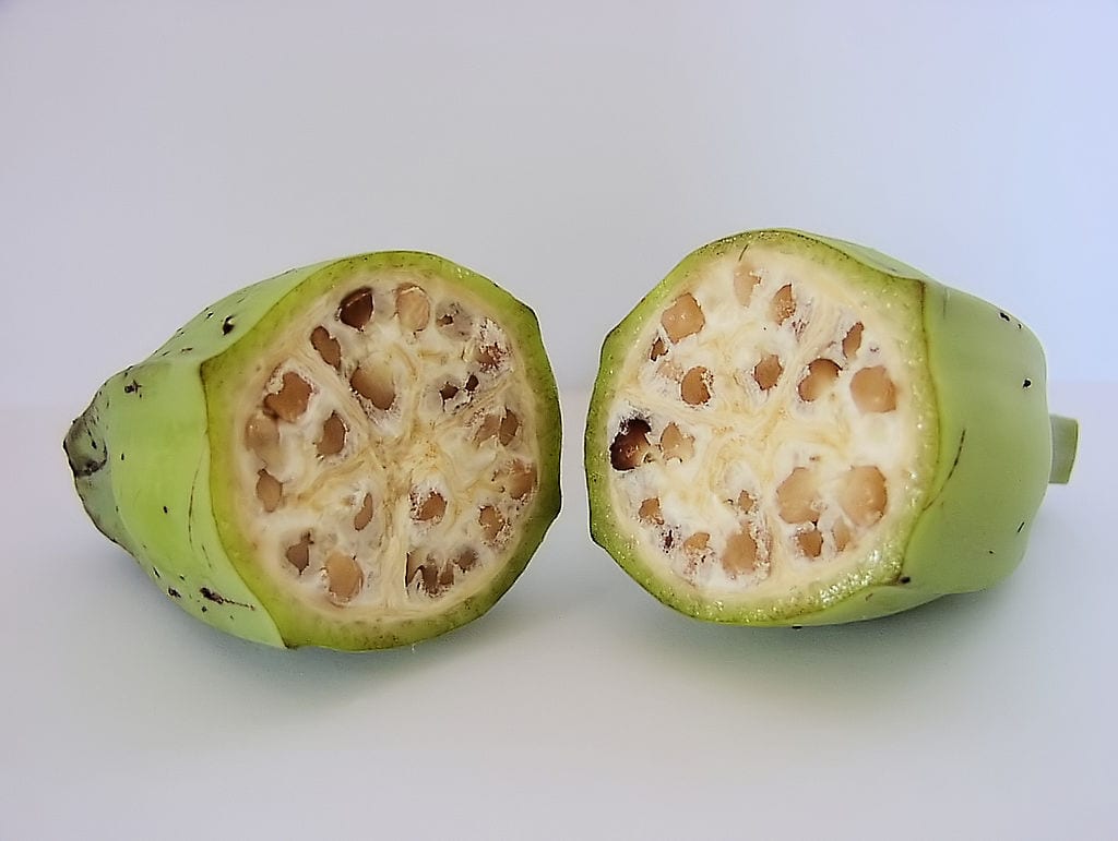  APlus