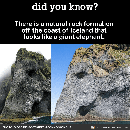 10 Elepahnt Rock