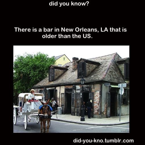 13 Old Bar