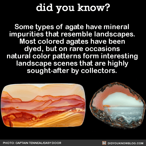9 Agate Landscapes