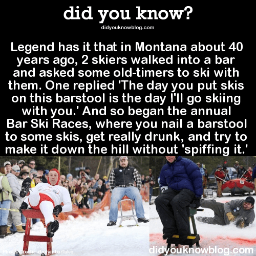10 Bar Stool Races