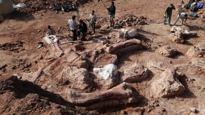 Image Credit: BBC