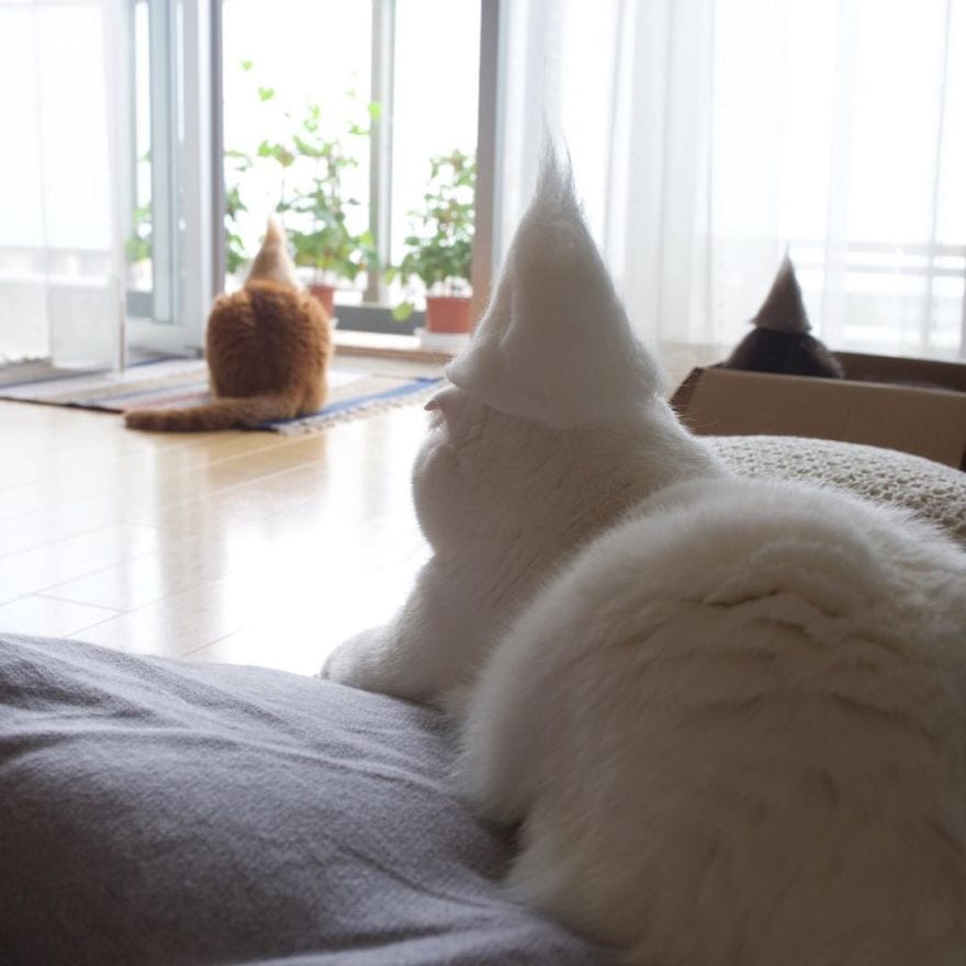 cats-in-hats-made-from-their-own-hair-582e5a04c7476__880