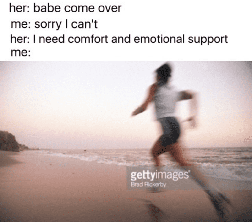 best memes