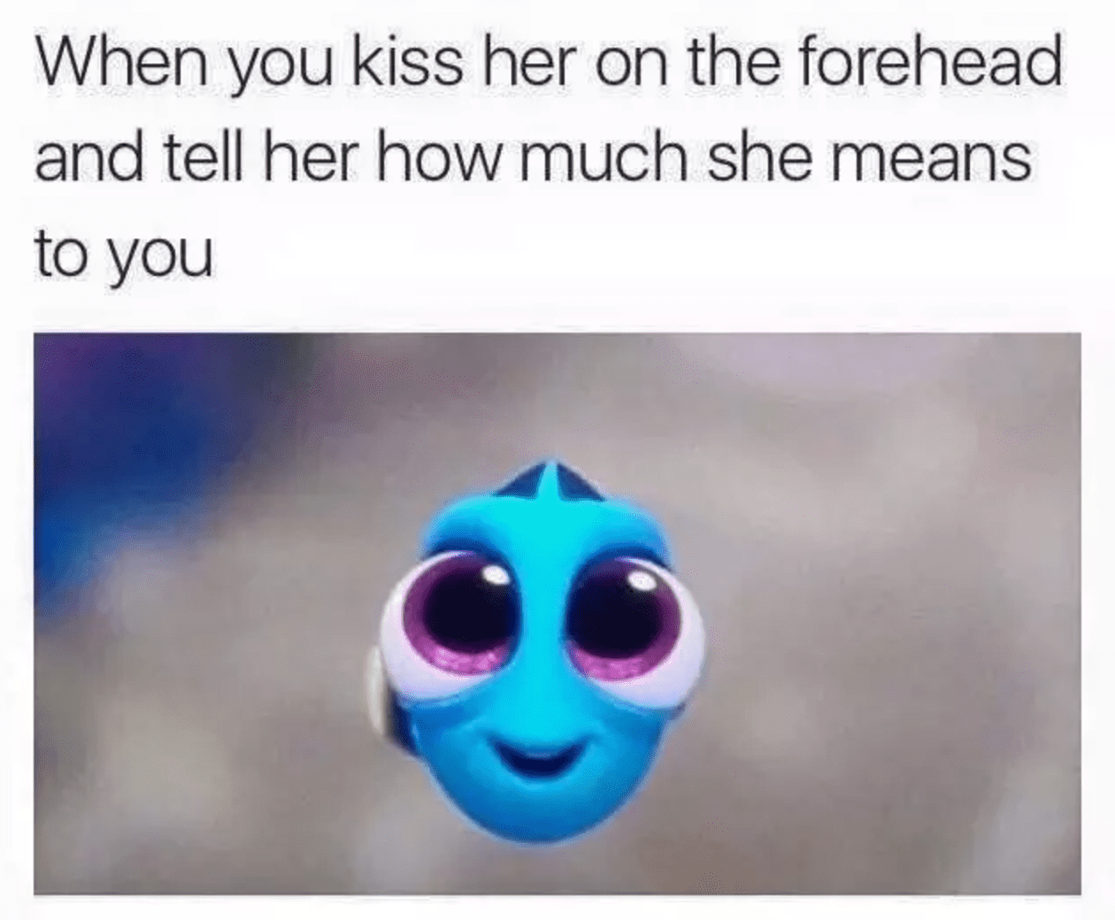 best memes