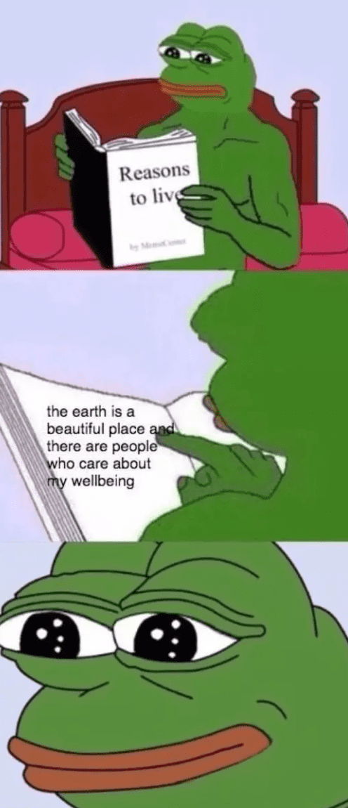 best memes pepe the frog