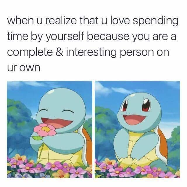 best memes squirtle