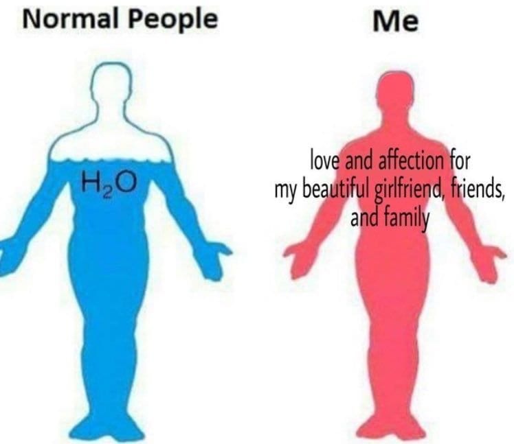 best memes