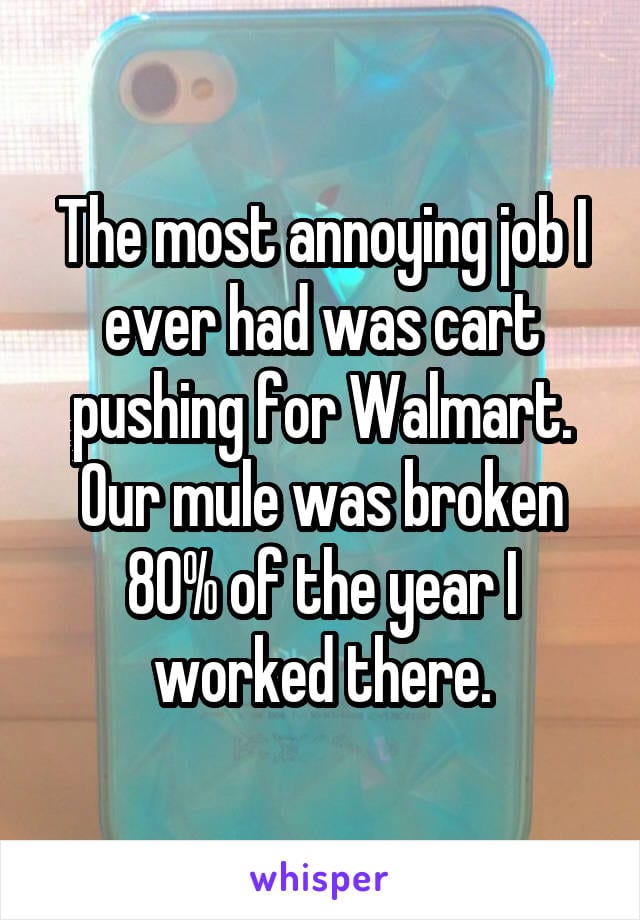 The most annoying job I ever had was cart pushing for Walmart. Our mule was broken 80% of the year I worked there.