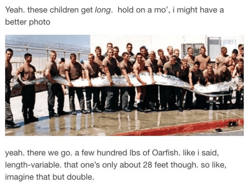 Yeah. These children get long. Like I said, length-variable. That one's only about 28 feet long. So, like, imagine that but double.