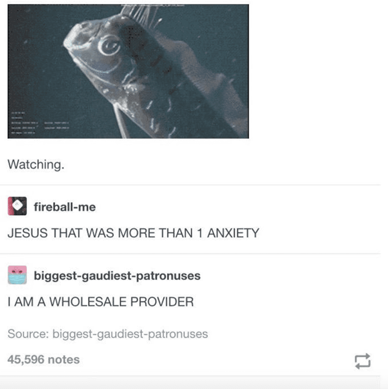 Watching. Fireball-me: Jesus that was more than 1 anxiety! biggest-gaudiest-patronuses: I am a wholesale provider.